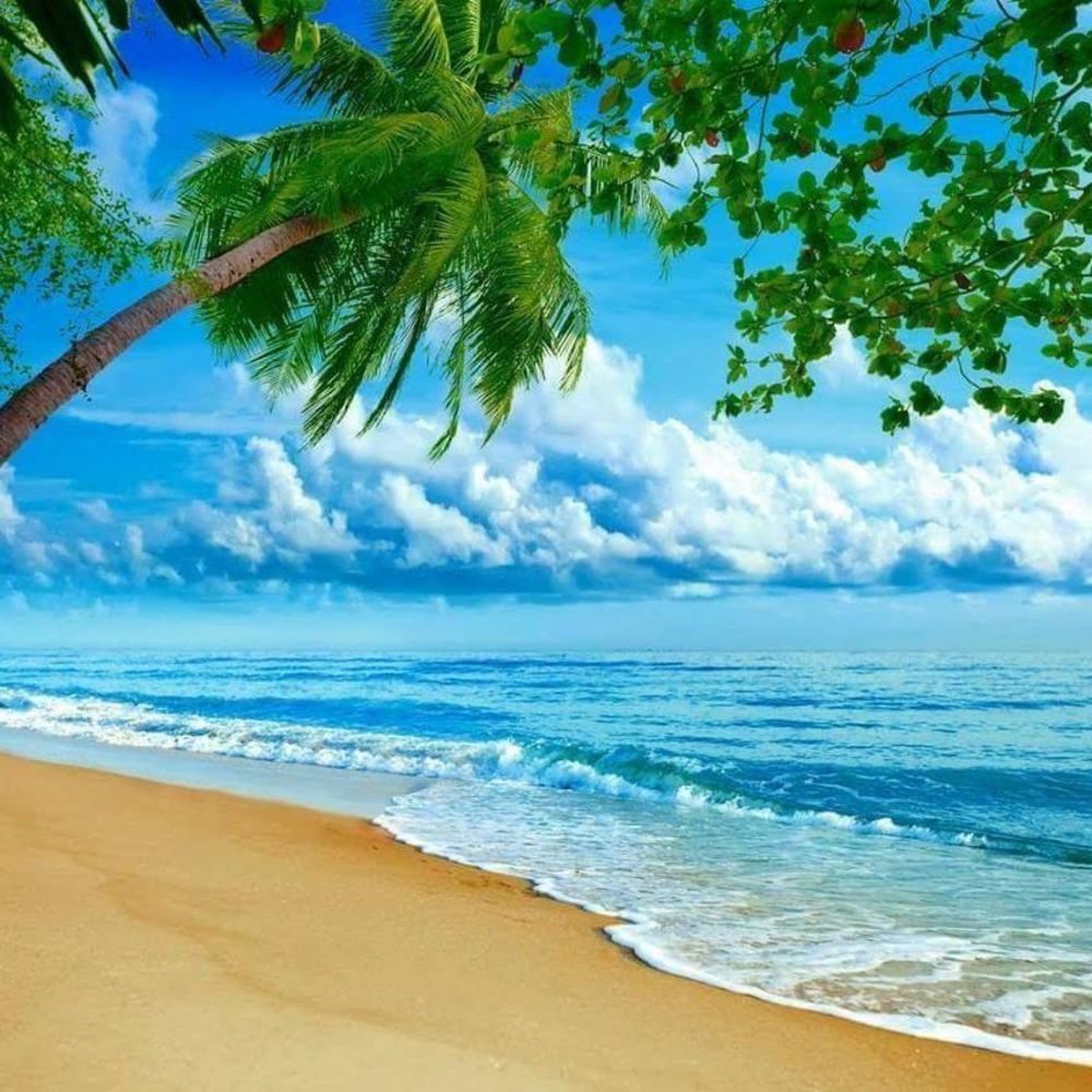 Meet your Posher, Haya